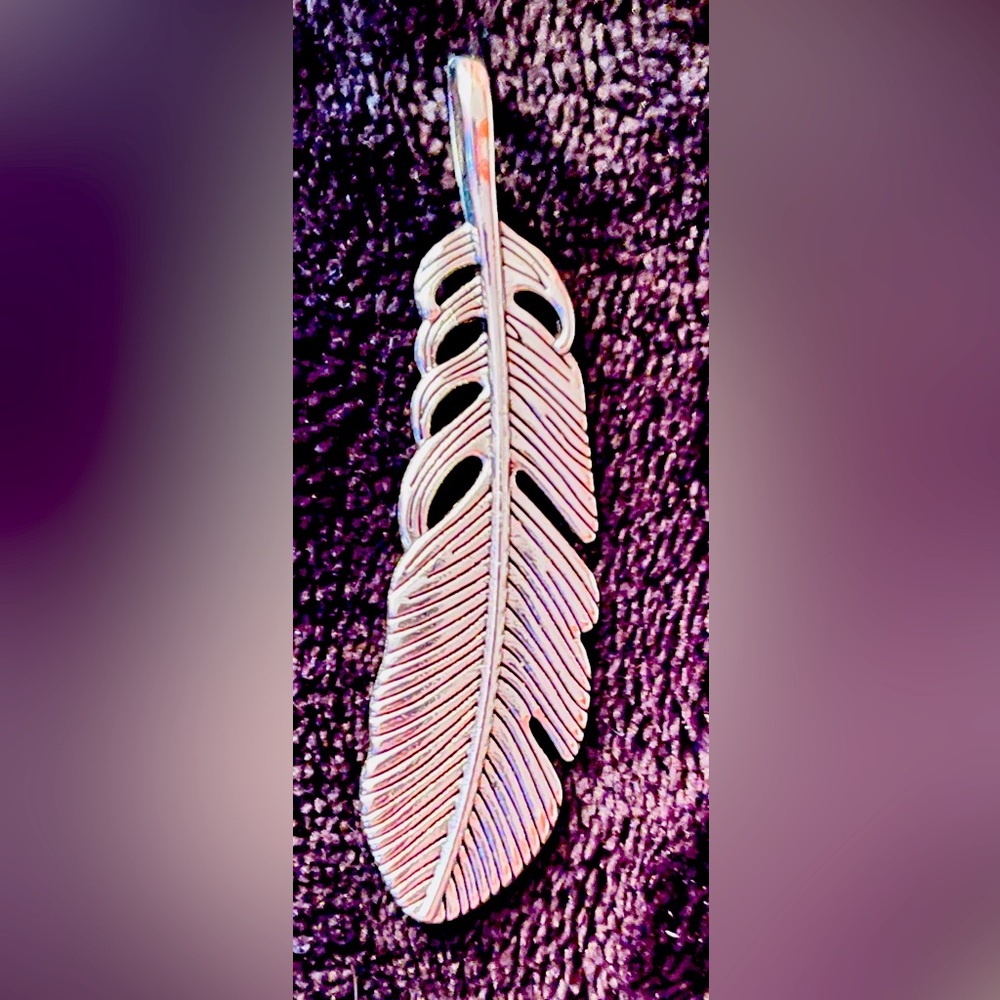 Stainless Steel Large Feather Charm Pendant NWOT